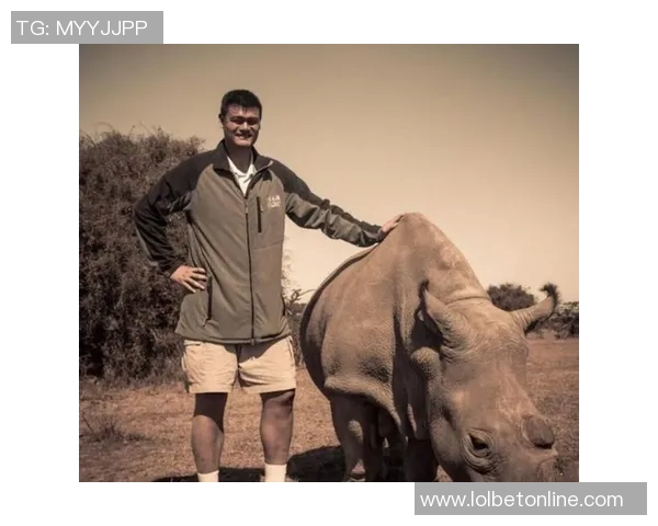 姚明扣篮模仿技巧揭秘如何在球场上重现传奇巨星的风采