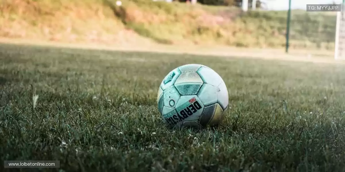 装备你的运动生活!🎯 从潮流服饰到专业器材,一站式满足你的热爱!